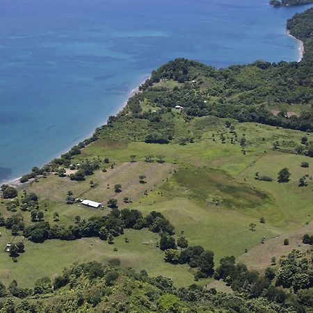 Hotel Punta De Aguila Necoclí Kültér fotó